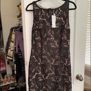 BB Dakota Dress